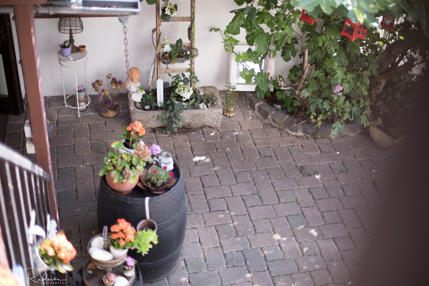 5 Destination Wedding Trier